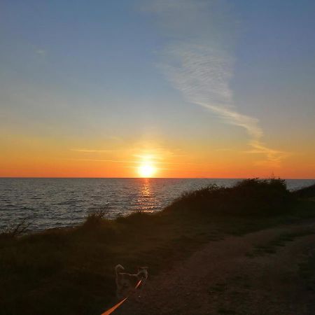 App Palcic K Apartment Novigrad Istria Exterior foto