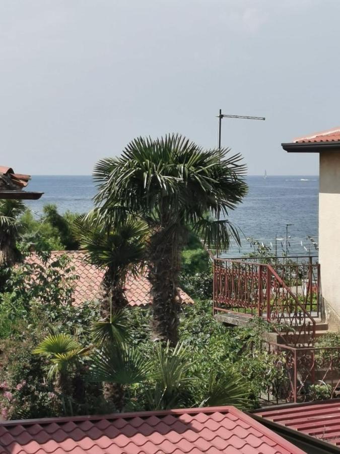 App Palcic K Apartment Novigrad Istria Exterior foto