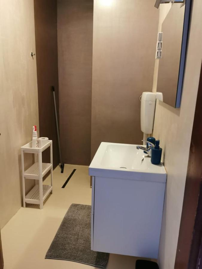App Palcic K Apartment Novigrad Istria Exterior foto