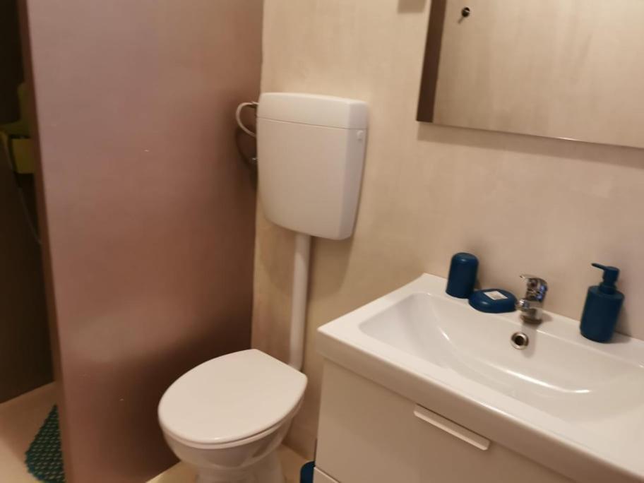 App Palcic K Apartment Novigrad Istria Exterior foto