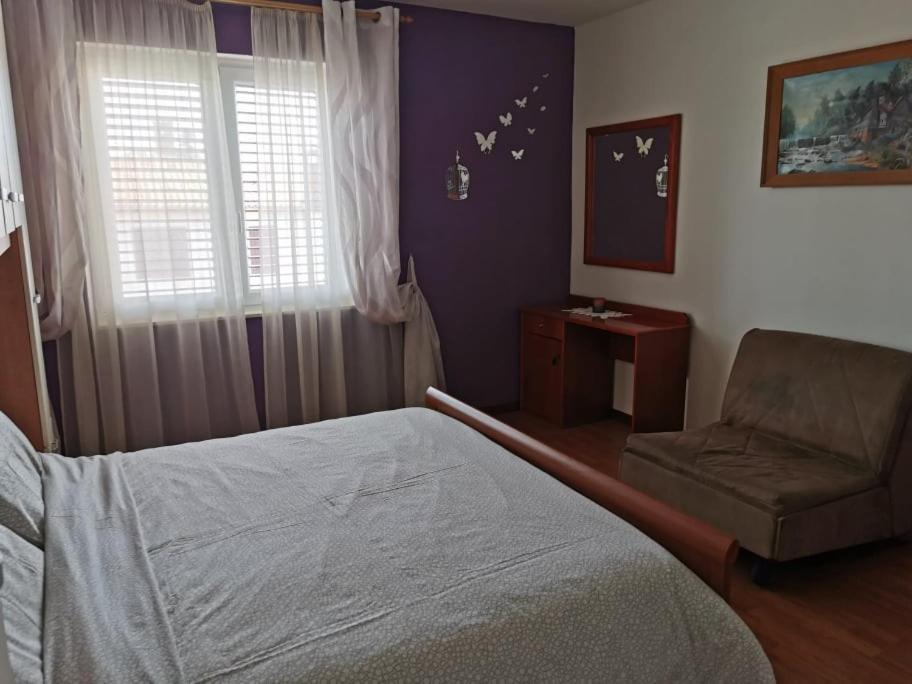 App Palcic K Apartment Novigrad Istria Exterior foto