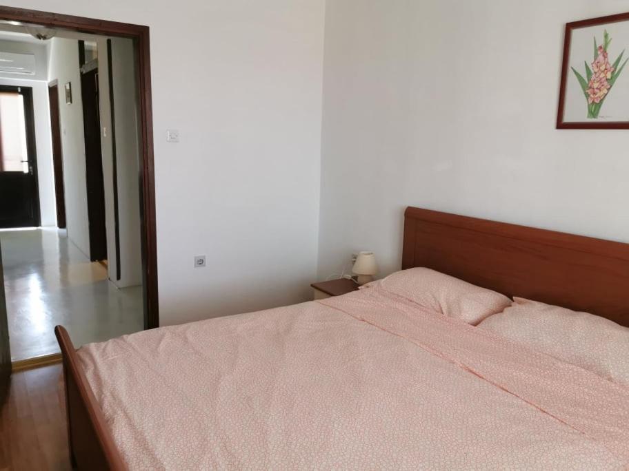 App Palcic K Apartment Novigrad Istria Exterior foto