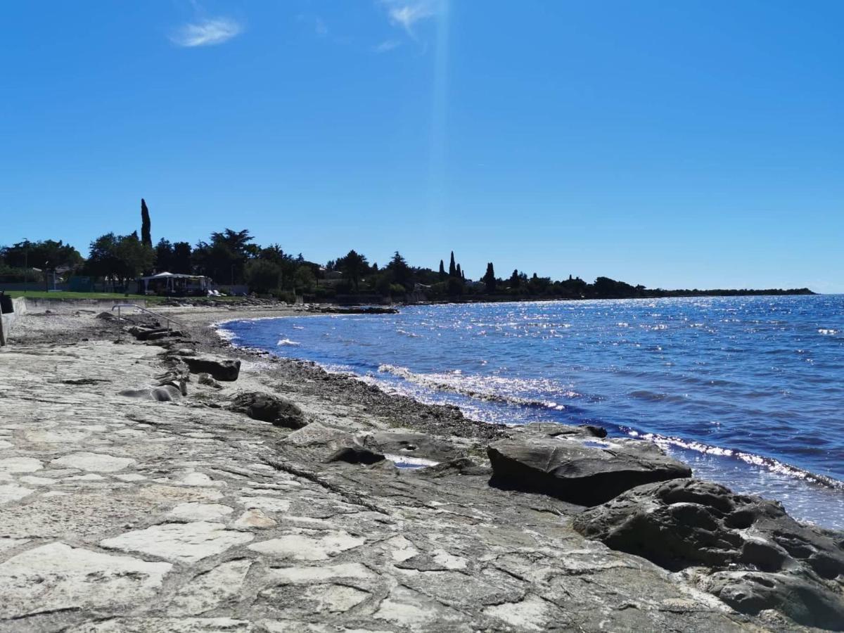 App Palcic K Apartment Novigrad Istria Exterior foto