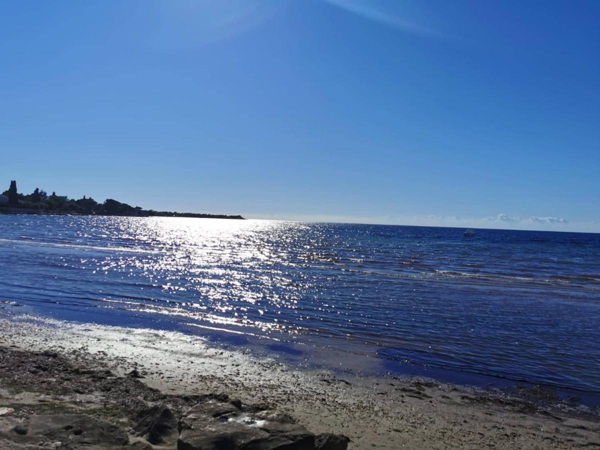App Palcic K Apartment Novigrad Istria Exterior foto