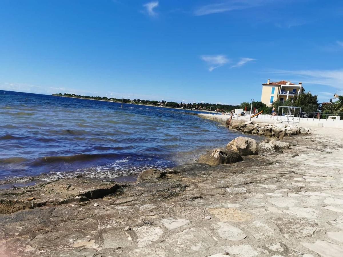 App Palcic K Apartment Novigrad Istria Exterior foto