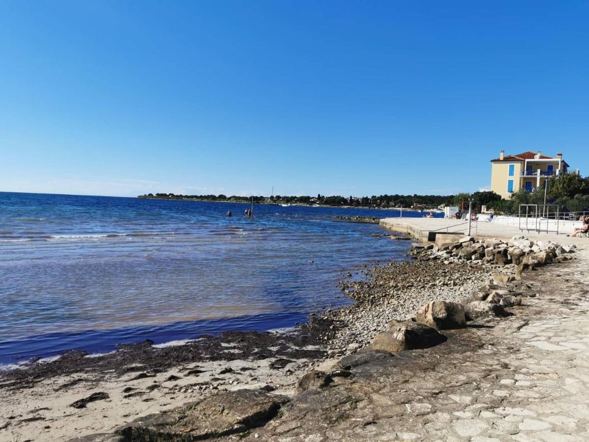 App Palcic K Apartment Novigrad Istria Exterior foto