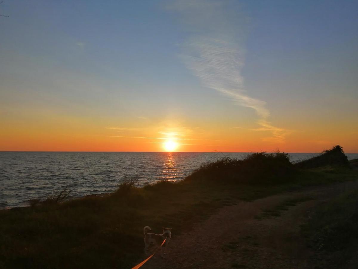 App Palcic K Apartment Novigrad Istria Exterior foto