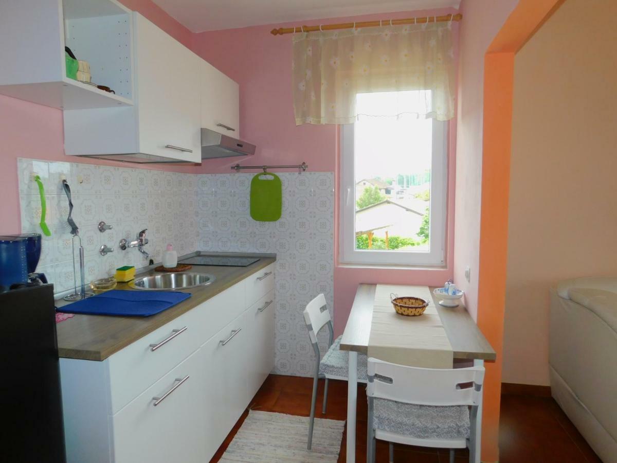 App Palcic K Apartment Novigrad Istria Exterior foto