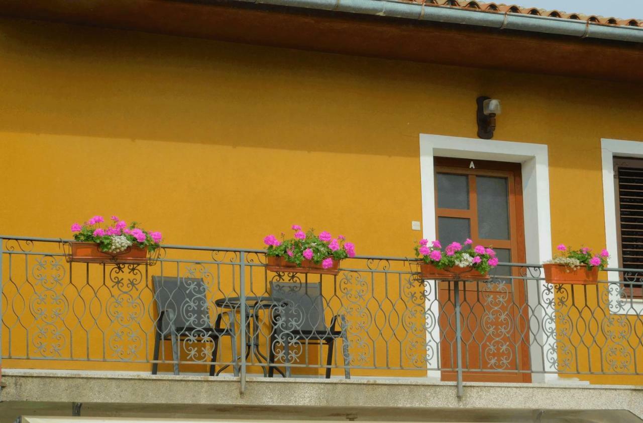 App Palcic K Apartment Novigrad Istria Exterior foto